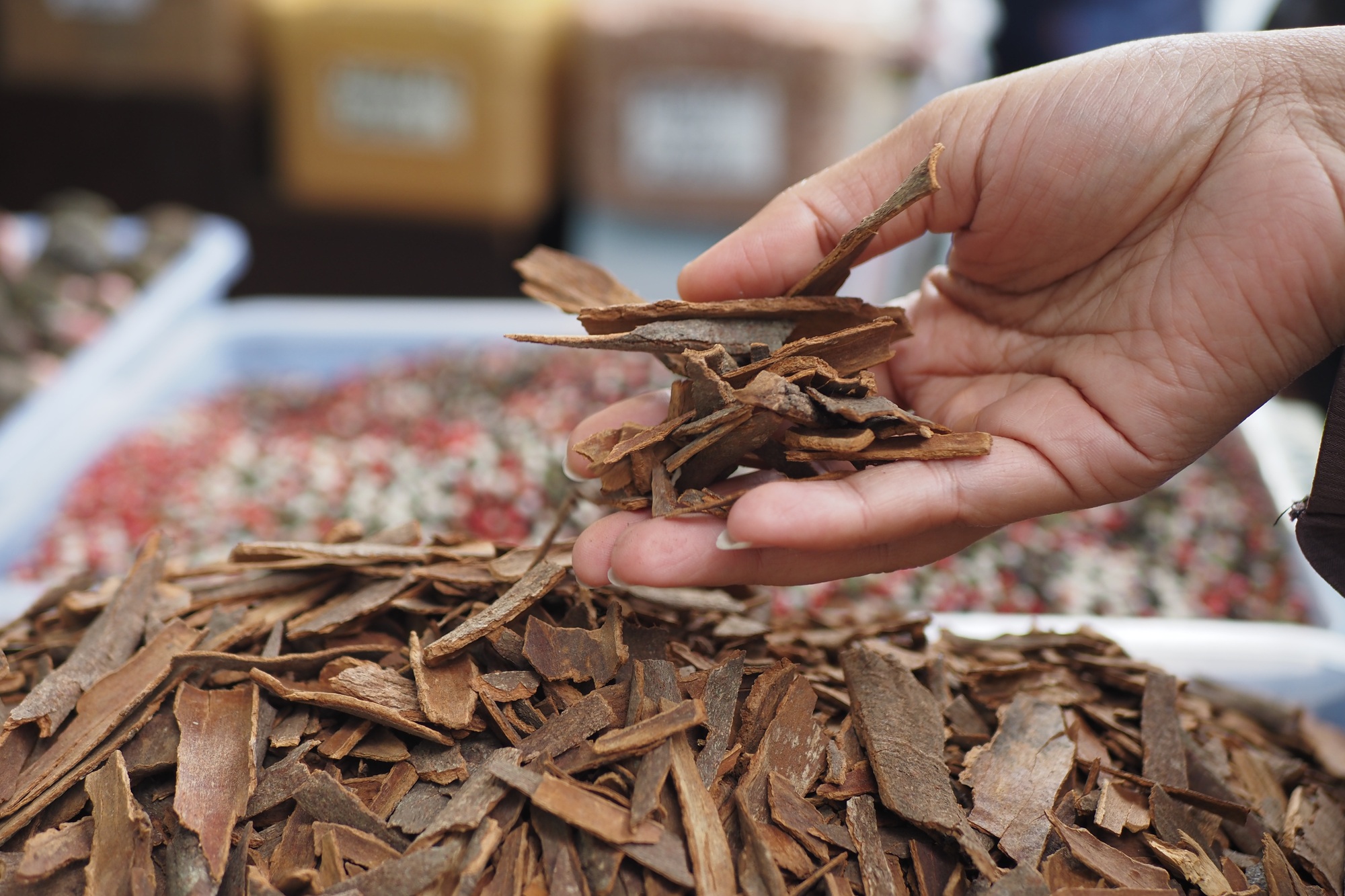 woman hand pick stack of Cinnamon sticks selling on spice bazar